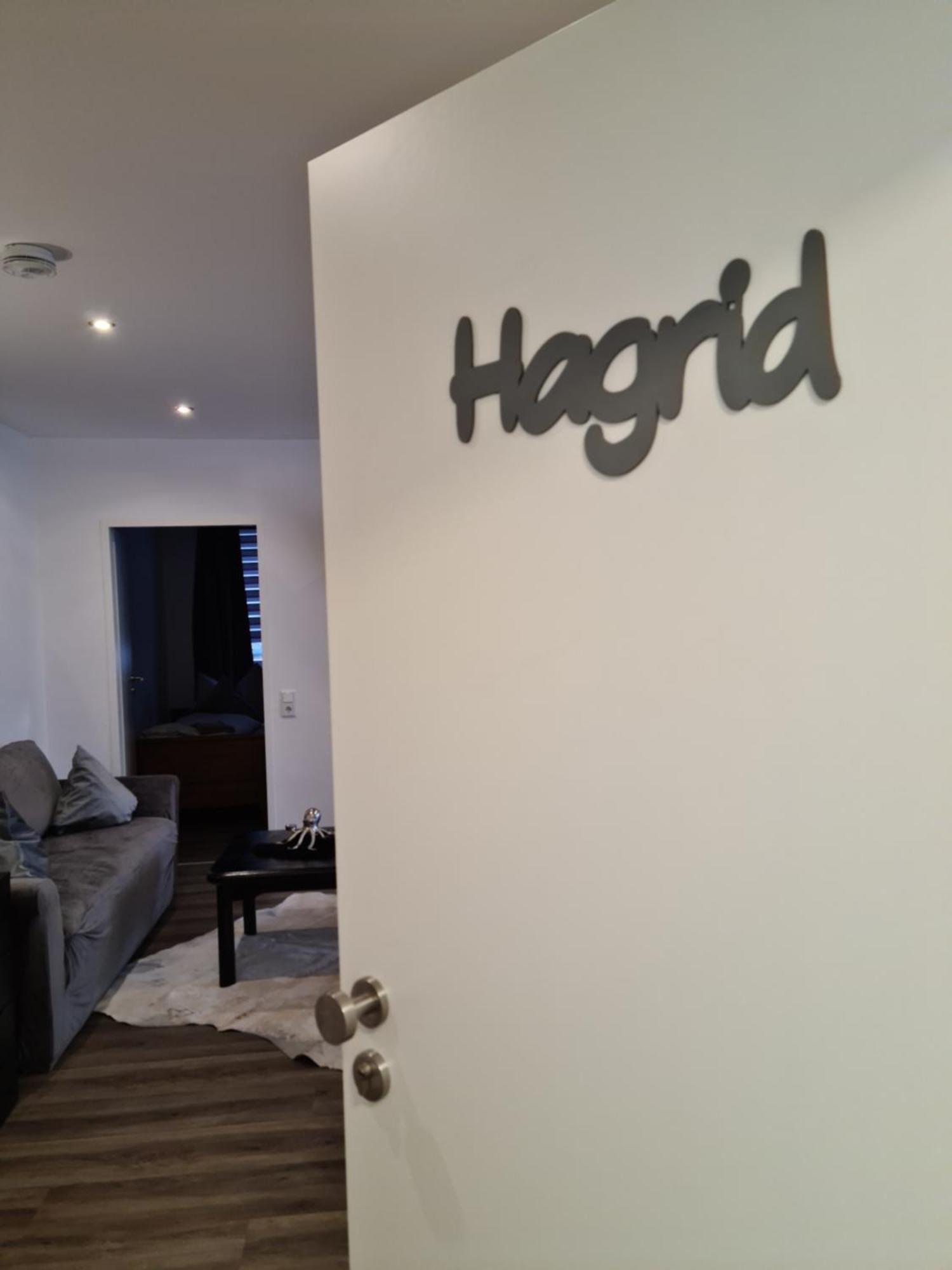 Pilgrims "Hagrid" 2 Sz, Balkon, Kueche, Bad, Top Wifi Brilon Exterior photo